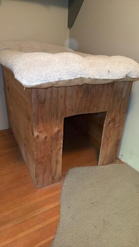 Handmade Wooden Pet House With Cushion