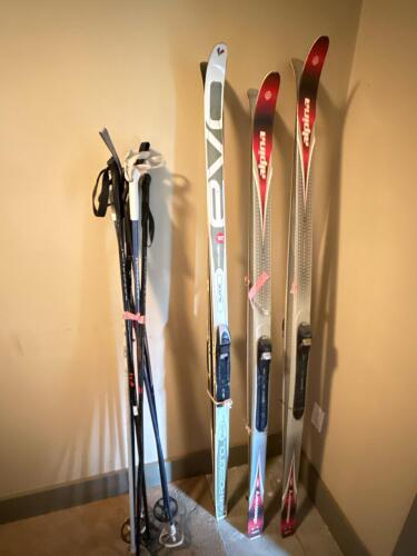 Rossignol EVO Glade and Alpina Cross Country Skis with Poles