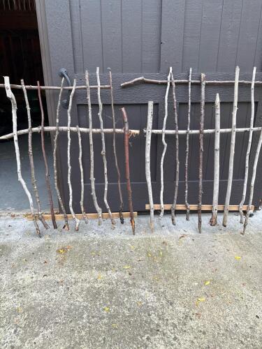 Rustic Branch Garden Fences