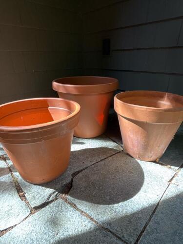 Two Terracotta Plant Pots and One Plastic Planter