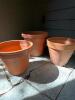 Two Terracotta Plant Pots and One Plastic Planter