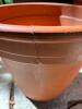 Two Terracotta Plant Pots and One Plastic Planter - 2