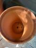 Two Terracotta Plant Pots and One Plastic Planter - 8