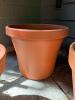 Two Terracotta Plant Pots and One Plastic Planter - 9