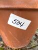 Potted Holiday Cactus (Schlumbergera) in Terracotta Pot - 6