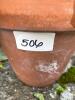 Jade Plant in Terracotta Pot - 6