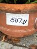 Two Potted Rosemary Plants in Terracotta Pots - 7