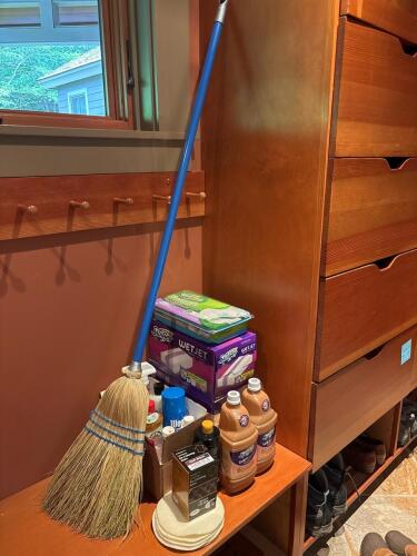 Assorted Cleaning Supplies Lot