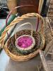 Assorted Woven Baskets and Miniature Twig Chair - 2