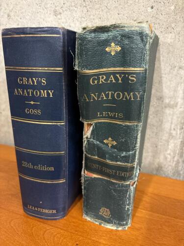 Gray's Anatomy Twenty-First and Twenty-Eighth Editions by Lea & Febiger