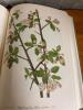 Two Hardcover Botanical Books - 7