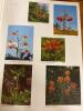 Two Hardcover Botanical Books - 16