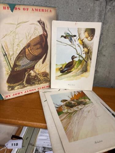 The Birds of America by John James Audubon with Ephemera