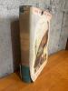 The Birds of America by John James Audubon with Ephemera - 2