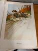 The Birds of America by John James Audubon with Ephemera - 7
