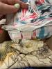 Large Lot of Scarves and Handkerchiefs - 7