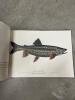 Lot of 8 New Hampshire Trout and Fishing Books - 16