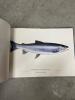 Lot of 8 New Hampshire Trout and Fishing Books - 17