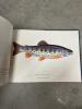 Lot of 8 New Hampshire Trout and Fishing Books - 18