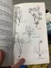 Lot of NH and New Englad Hiking Trail Guides - 12
