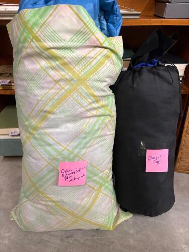 Sleeping Bags: REI Down and Moonstone