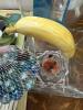 Eclectic Home Decor Collection - 2