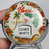 Florida Souvenir Perpetual Desk Calendar - 3