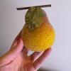 Assortment of Artificial Sugared Fruit - 5