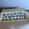 Assortment of Artificial Sugared Fruit - 7