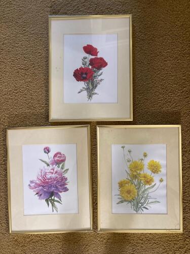 Framed Botanical Prints With Gold-Tone Metal Frames