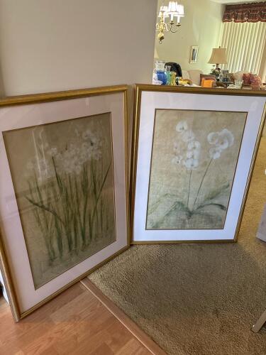 Pair of Framed Floral Prints