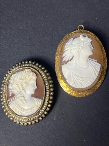 Pair of Antique Cameo Brooches in Victorian-Style Frames