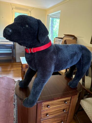 Large Black Plush Dog with Red Collar