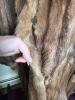 Ross Fur Company Brown Fur Coat with Monogram - 3