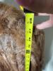 Ross Fur Company Brown Fur Coat with Monogram - 10