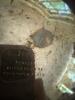 Antique Victorian-Era Silver-plated Bride's Basket By Meriden Silver Plate Co. - 7
