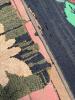 Hooked Floral Rugs in Folk Art Style - 4
