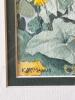 Trio of Framed Watercolor Paintings - 14