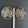 Pair Of Pressed Glass Flower Frogs - 3
