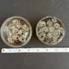 Pair Of Pressed Glass Flower Frogs - 4