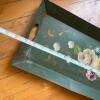 Toleware-Style Metal Tray with Floral Decoration - 4