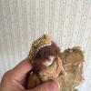 Antique-Style Bisque Doll in Lace Dress - 6