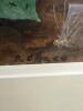 Assorted Botanical Wall Art - 8
