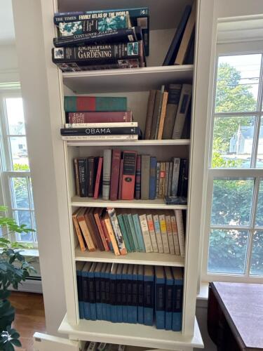 Assorted Vintage and Classic Books, Literature and Nonfiction