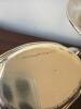 Sterling Silver Bowls and Weighted Compote - 4