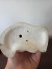 Staffordshire-Style Spaniel Dog Figurine - 4