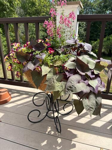 Decorative Metal Outdoor Planter