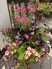 Decorative Metal Outdoor Planter - 3