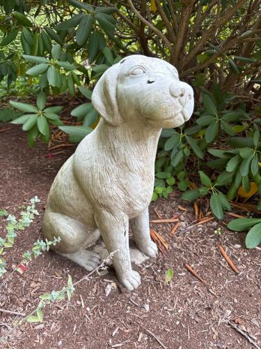 Concrete Dog Garden Statue
