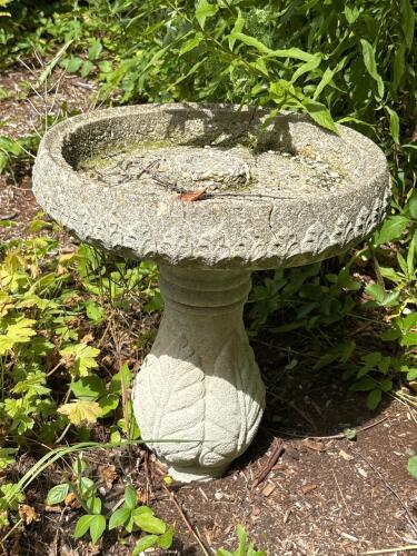 Concrete Birdbath with Leaf Motif Pedestal